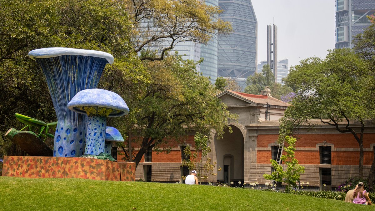 Noticia de último minuto 📨

Han aparecido seis Macrohongos a lo largo del Bosque de Chapultepec 🤯

Los reportes indican que forman parte del <a href="/BosqueFest/">Spora: Festival del Bosque de Chapultepec</a>  y podrás consultar las ubicaciones en festivaldelbosque.com