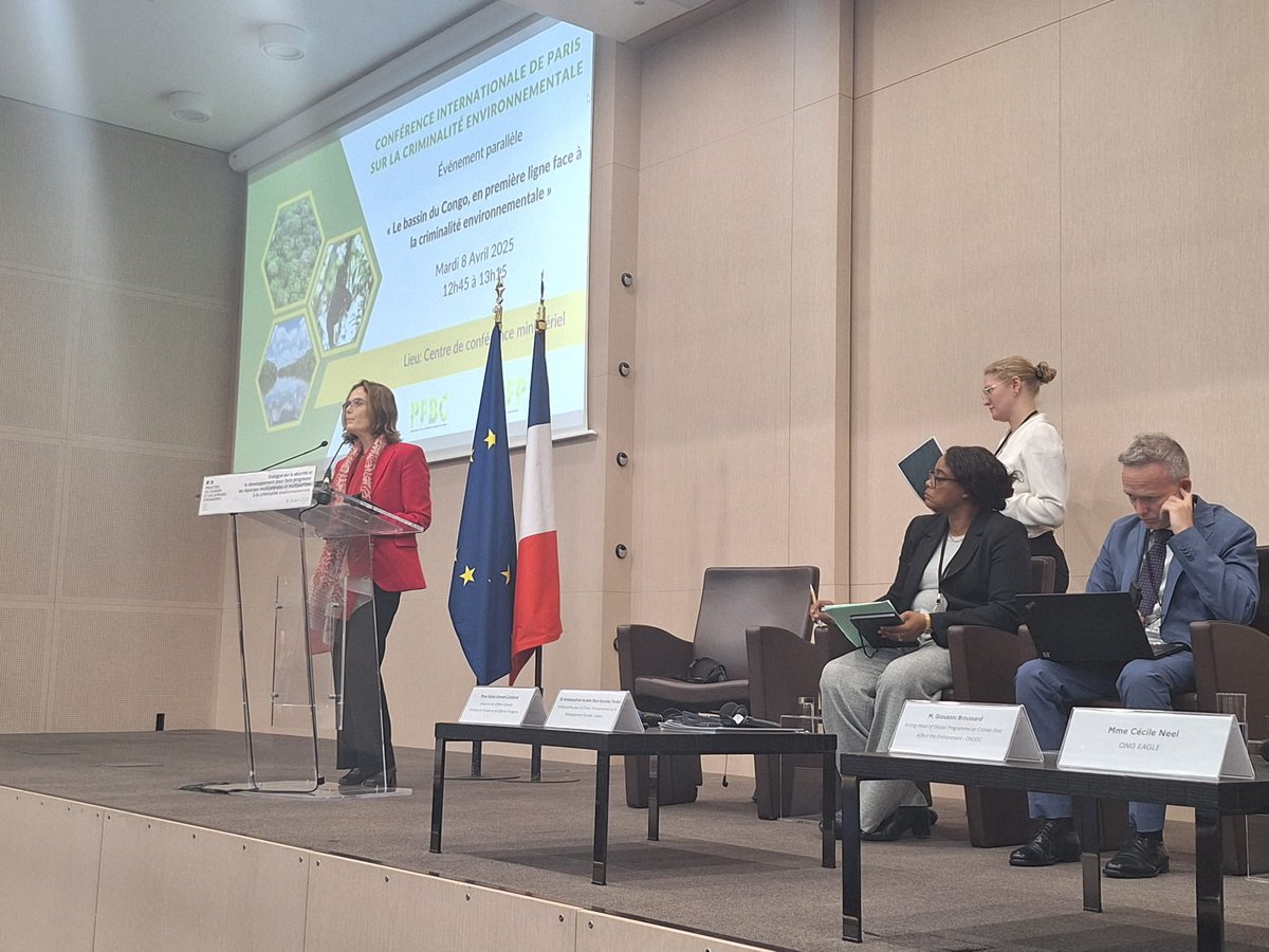 SalinaGrenet's tweet photo. Together with Gabon 🇬🇦, France is working within the #CBFP @cbfp_pfbc to step up the fight against environmental crime in the Congo Basin 🐒. Thank you to our panelists today ! A conference dedicated to this issue will be organised in #Libreville in July https://t.co/g0lH7Ov5Z0