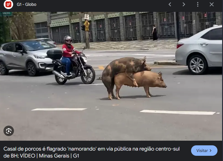_sheepsz's tweet photo. @tutuporanglinos imagina eles vendo cenas como essa kkkkkk https://t.co/IRVLtkynJs