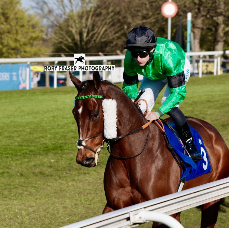 DaveLoughnane_'s tweet photo. 🟢⚫️Partisan Hero⚫️🟢

Wins @ponteraces geared down under @RKingscote 🍑👏🏻 

Well done to all the team and to his owners @jdavelowe 🥇 

#TheTurfisBack #KeepOnRolling https://t.co/rxtvqa9SUo