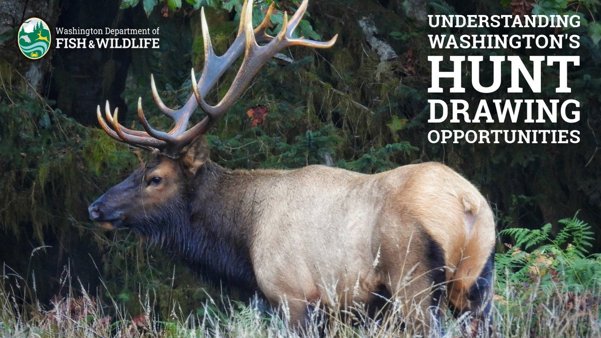 Washington Department of Fish & Wildlife tweet media