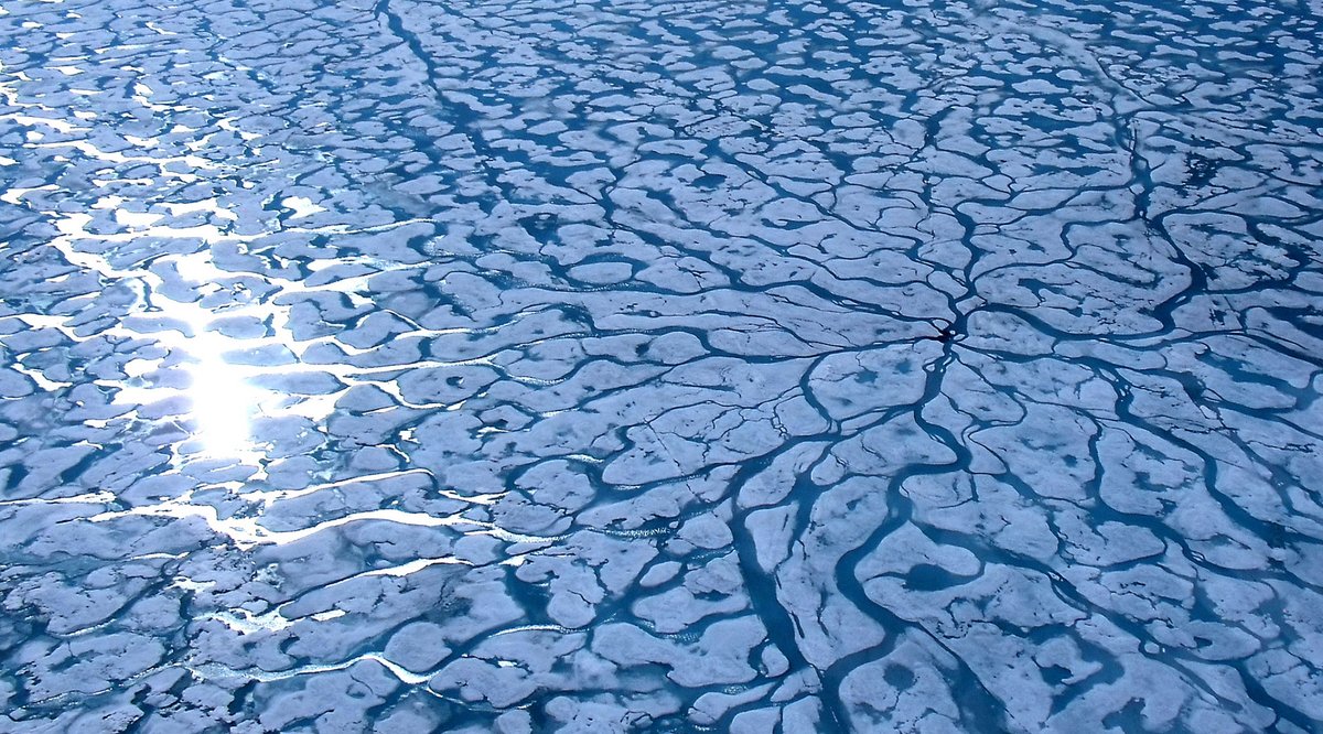 Woods Hole Oceanographic Institution (WHOI) tweet media