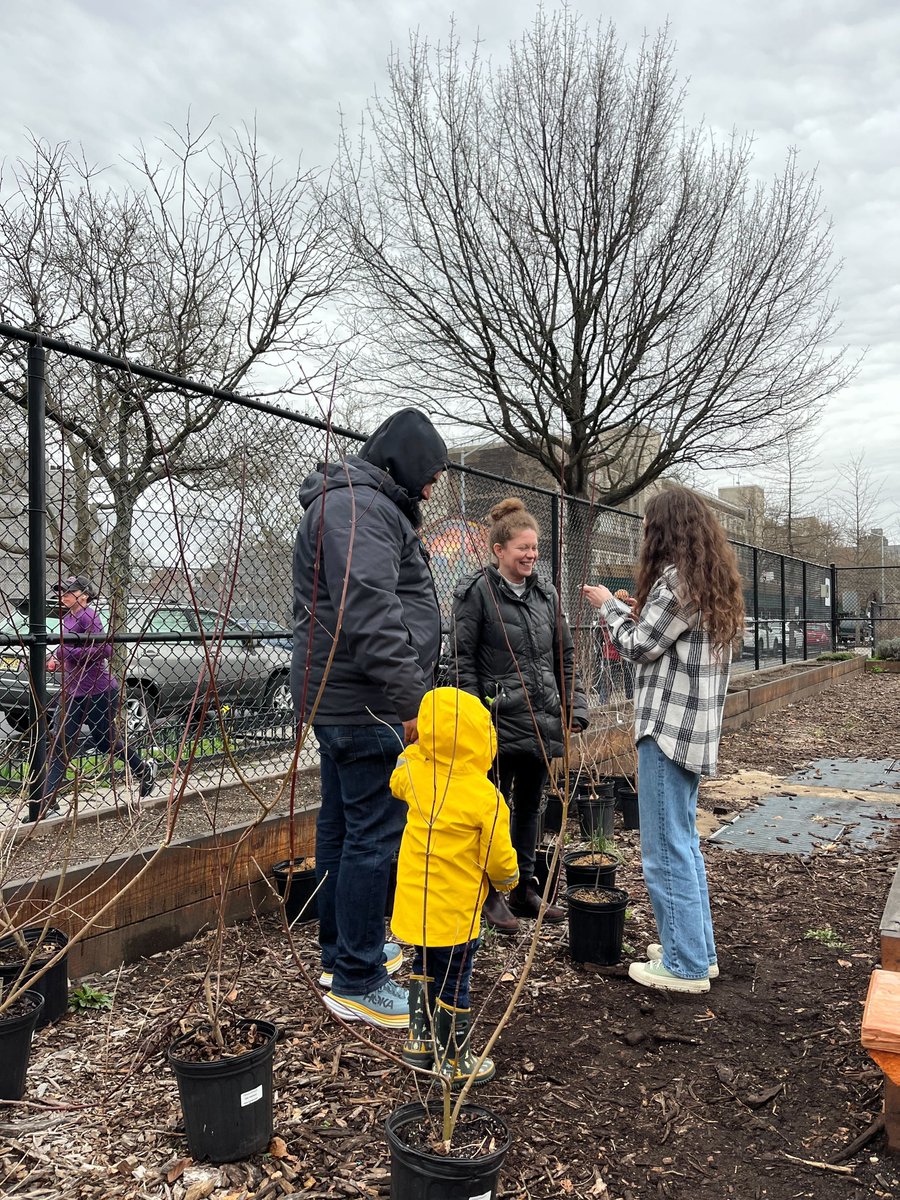 Council Member Lincoln Restler (@cmrestler) on Twitter photo Over the weekend, we teamed up with <a href="/NYRP/">New York Restoration Project</a> to give away 175 trees to community members — and partnered with Big Reuse to hand out countertop composting bins! Over the weekend, we teamed up with <a href="/NYRP/">New York Restoration Project</a> to give away 175 trees to community members — and partnered with Big Reuse to hand out countertop composting bins!
