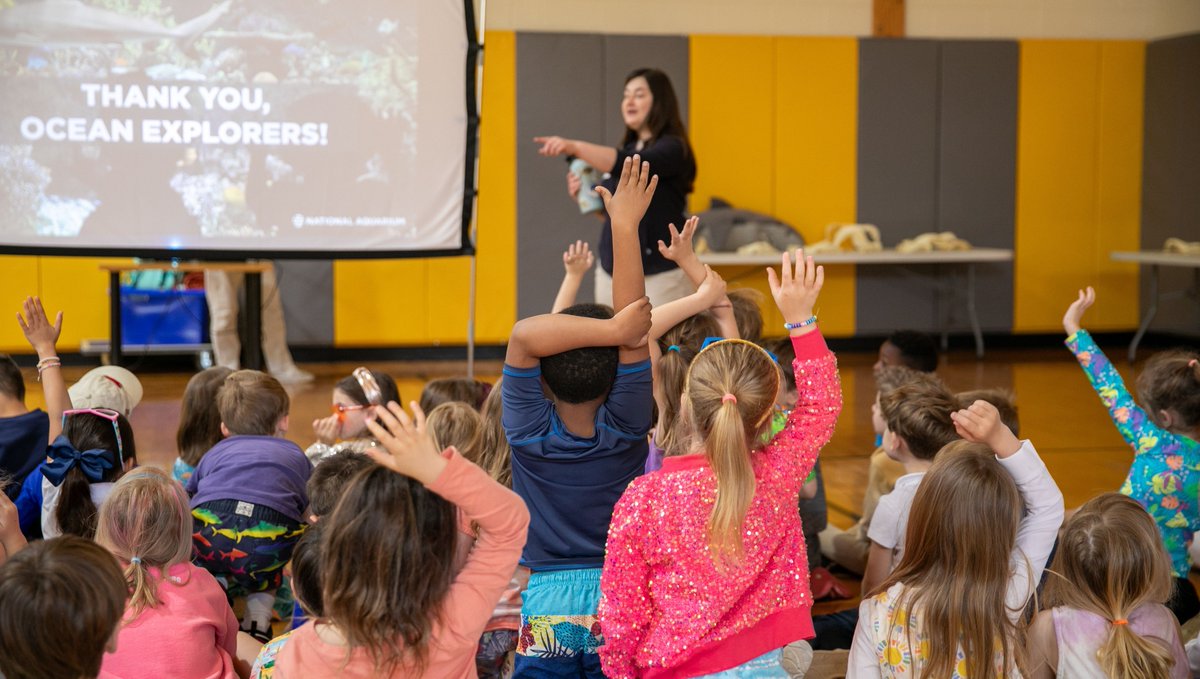 The Sixth Agers continued their unit on ocean life🪼🐠 this morning with a visit from the National Aquarium. Over the past few weeks, the students have learned about sea turtles, seahorses, and sea otters — but today was all about SHARKS!🦈

#OceanLife #Sharks