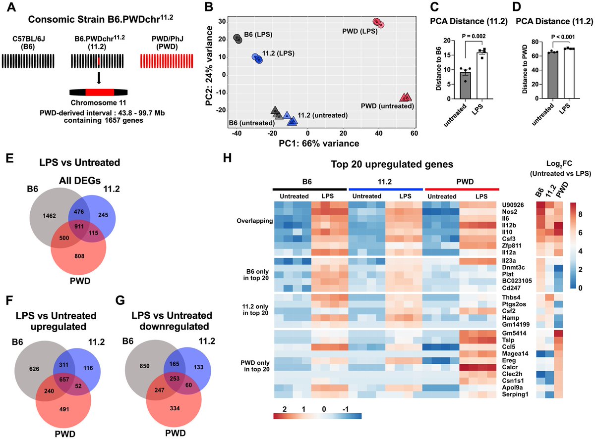 Newly Published! Data demonstrated that natural genetic variation controls host survival and transcriptional reprogramming during endotoxemia, suggesting possibilities for prediction of sepsis risk and personalized therapeutic interventions. Learn more: ow.ly/z84050VvPh5