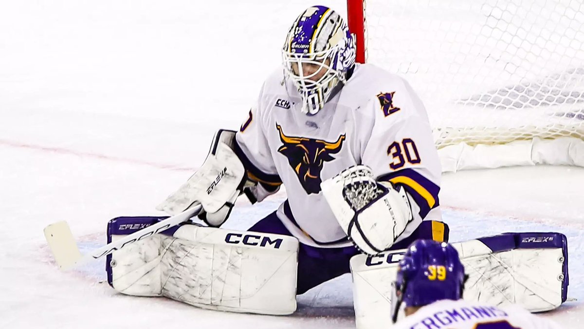 Minnesota State goalie <a href="/ej_pulver/">Eli Pulver</a> headed to Wisconsin.