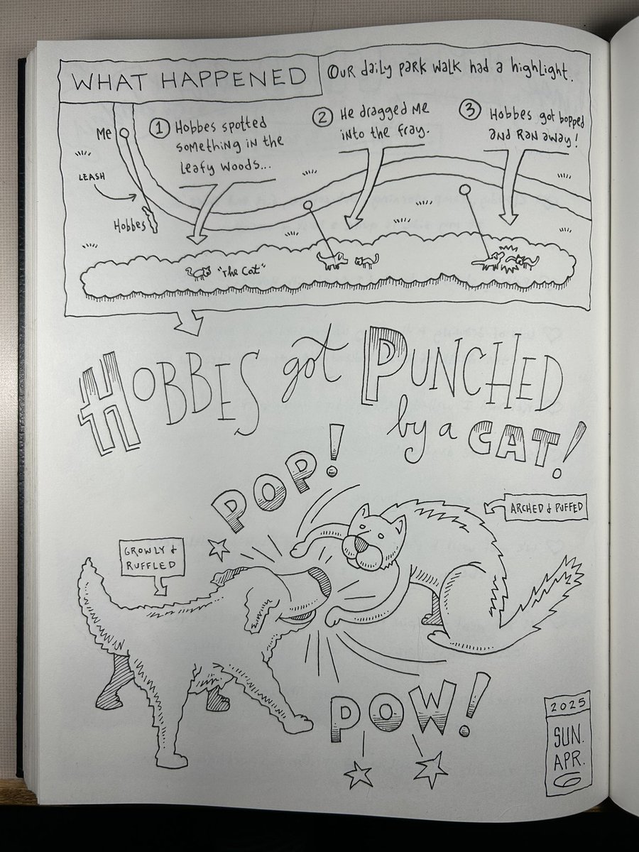 Page from April 6, 2025. Hobbes’ encounter with a stray cat was a lesson learned.