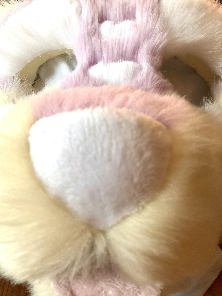 ChasingTailsWS's tweet image. new phone who dis