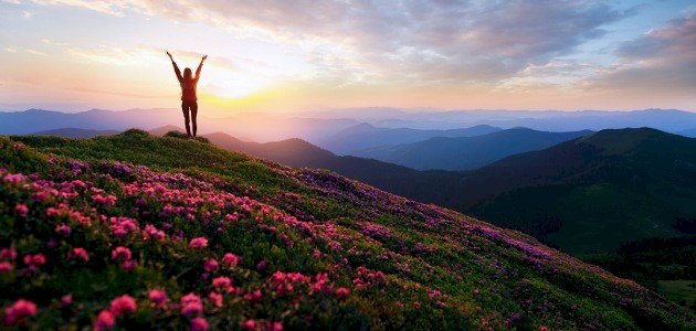 السعادة.. أن تضحّك دون حواجز، وأن تحررّ الطفل الذي بداخلك.. الذي لا يدعي المثالية التي يرتديها الكبار أن لا تخجل من حزنك.. أن تطبطب عليه بحنان، متفهّماً بشريتك التي تدعوك للبكاء أحياناً.. محتوياً ضعفك الذي يجعلكَ تشتاق إلى قوتك أحياناً.
#مساء_الاجواء_الحلوه #التفائل_السعاده