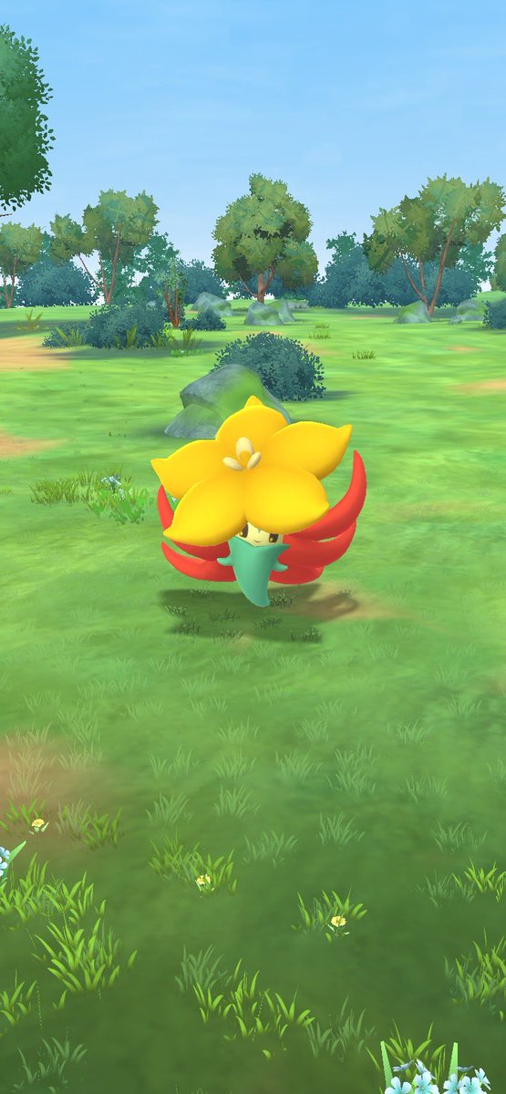 PokeNOBU's tweet photo. Gossifleur is here in Pokémon GO! 🤩🌺

#PokemonGO #Gossifleur @pogo_central https://t.co/RNt3QDKMYS
