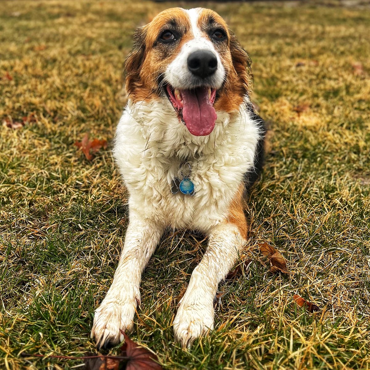 #tongueoutuesday
