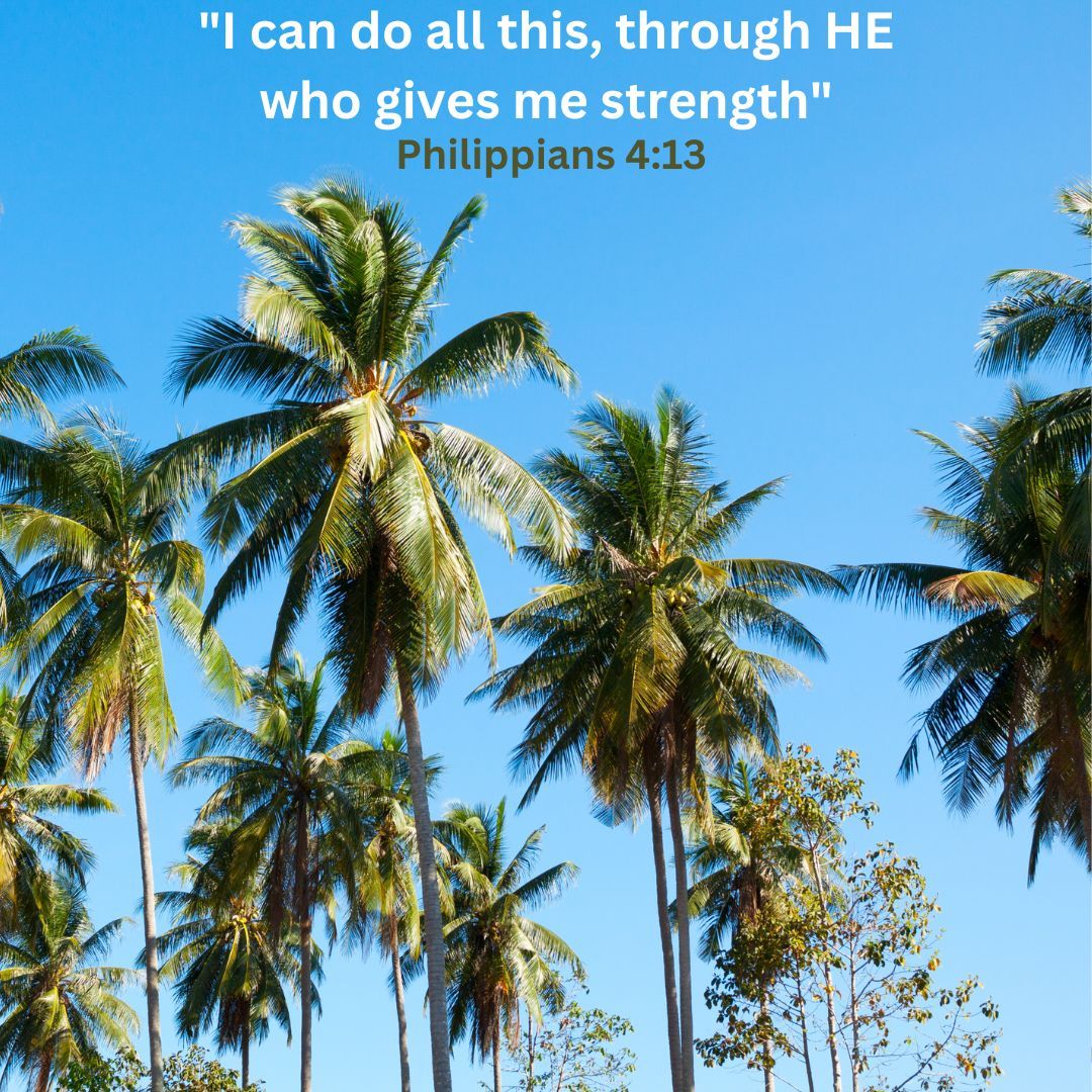 DailyPsalms365's tweet photo. "| can do all this, through He who gives me Strength." #Philippians413 #love #blessings #believe #happiness #motivation #goals #positivity #quoteoftheday https://t.co/i8Y1h7TbT3