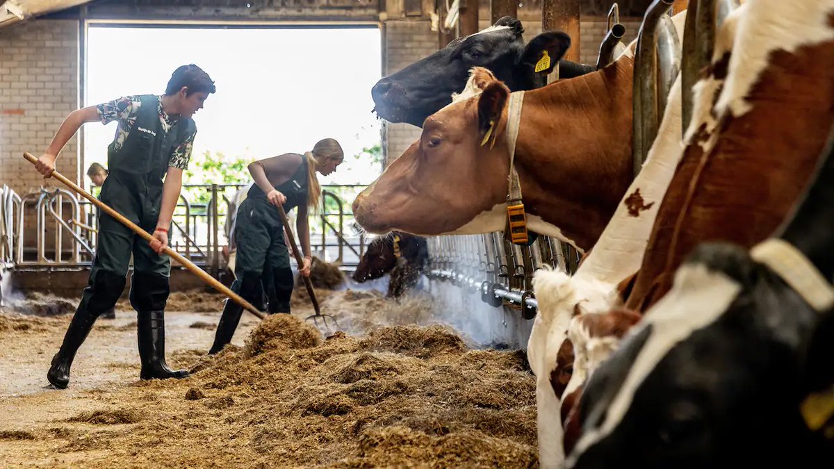 KritischePatri's tweet image. Iedereen die onze #boeren waardeert geef ze een ❤️