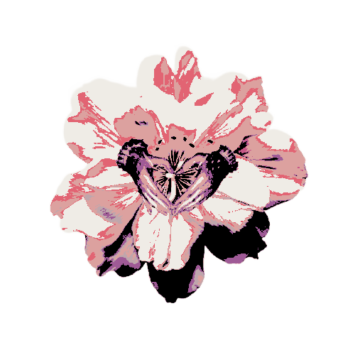 ⋆ ‍ ‍‍ ‍𝐇ᴱ͟͟ᴬ͟𐍂𝚃 ‍ ‍‍ ‍﹠ ‍ ‍‍ ‍𝗦͇𑁤𝖀ᴸ ‍‍ ‍.ᐟ tweet media