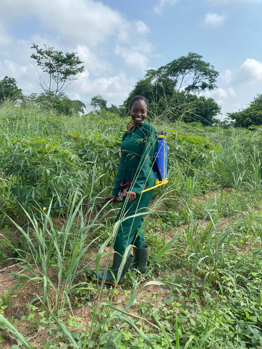 thesimplenife's tweet photo. After a while, Farm Girl resumed today! Intern at OAU @OAUniversity @TheGreatestIFE 
To be honest my predecessors tryyyy @Adefat_ @OmisoreElijah @ekundayo_dami1 @OlajideOlumide_ How did you guys do this thing? Cos>>> https://t.co/47Srzi1ou6