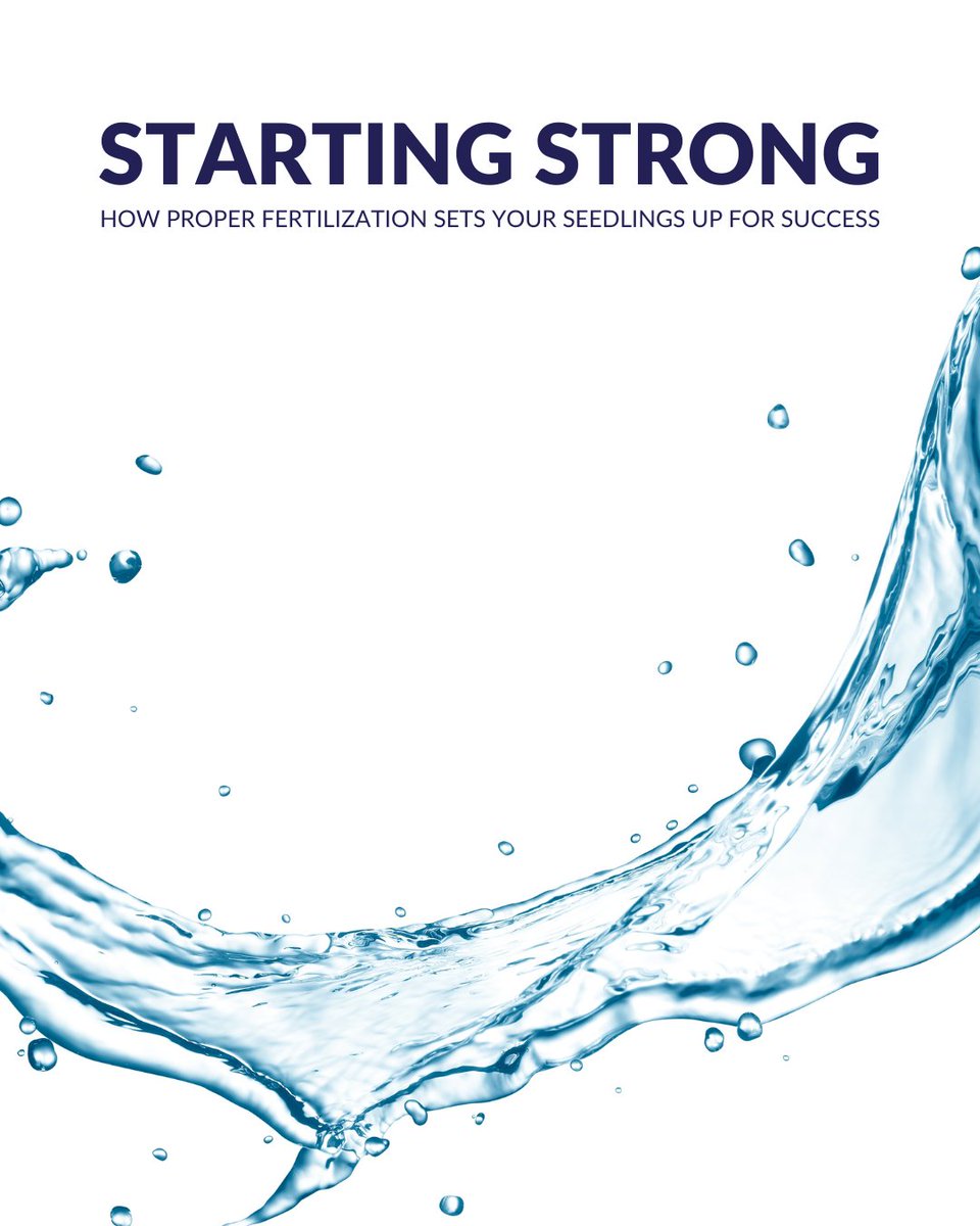 Looking for a versatile fertilizer that delivers results? Plantex 20-20-20 provides a balanced blend of nutrients to support rapid green-up, strong root development, and healthy growth in all types of plants.
plantprod.com/product/plante…
#Plantex202020 #PlantNutrition #HealthyGrowth