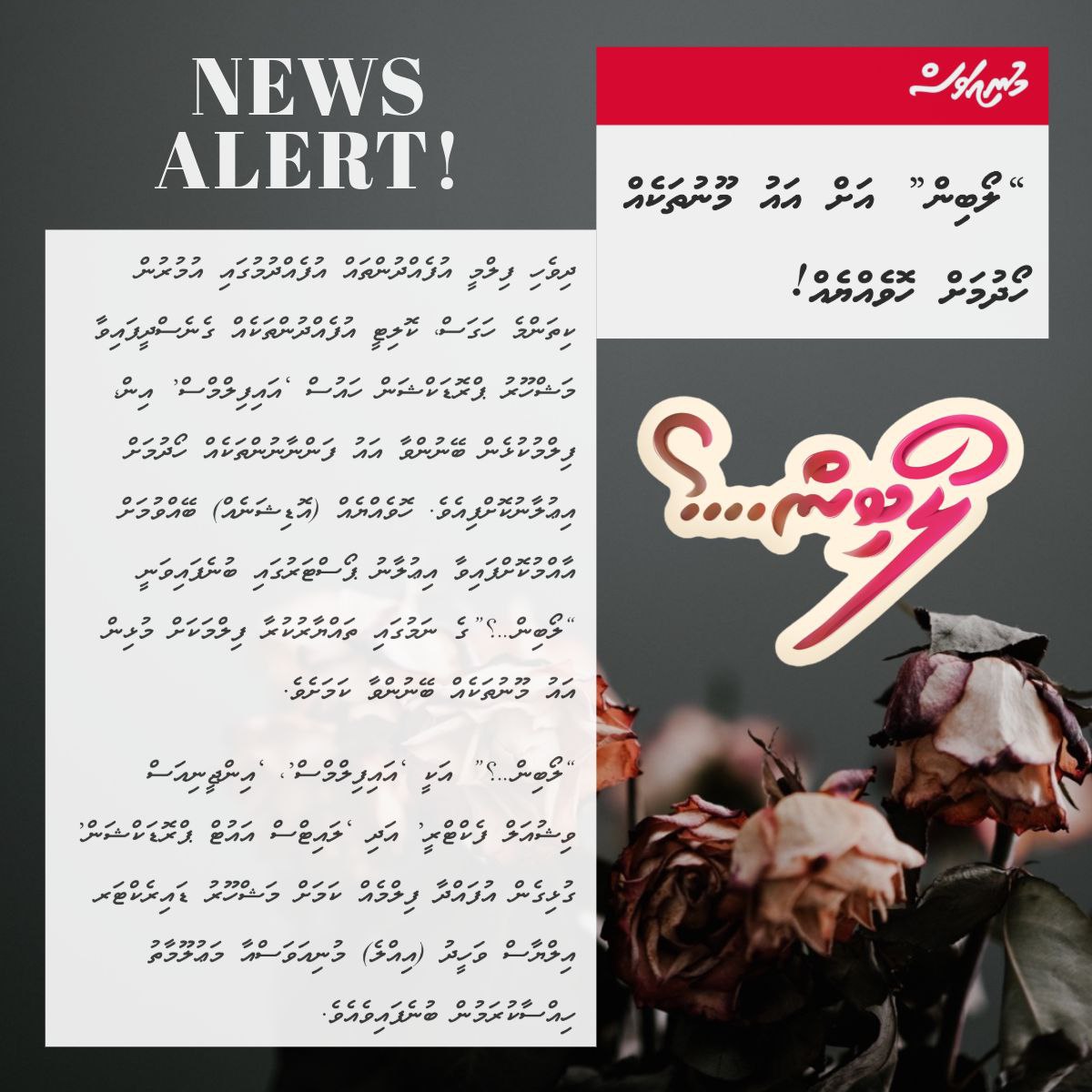 ingeniousvisualfactory tweet media