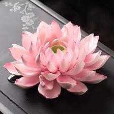 Binn☁️|| tweet media