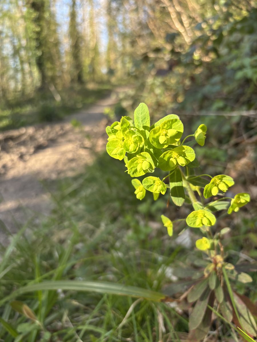 Susan Jones tweet media