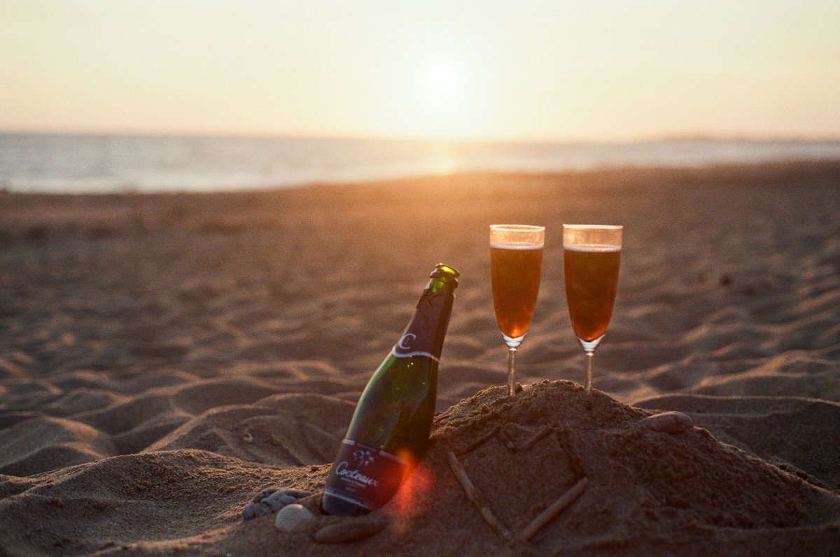 took a picture so pretty it could be an actual ad