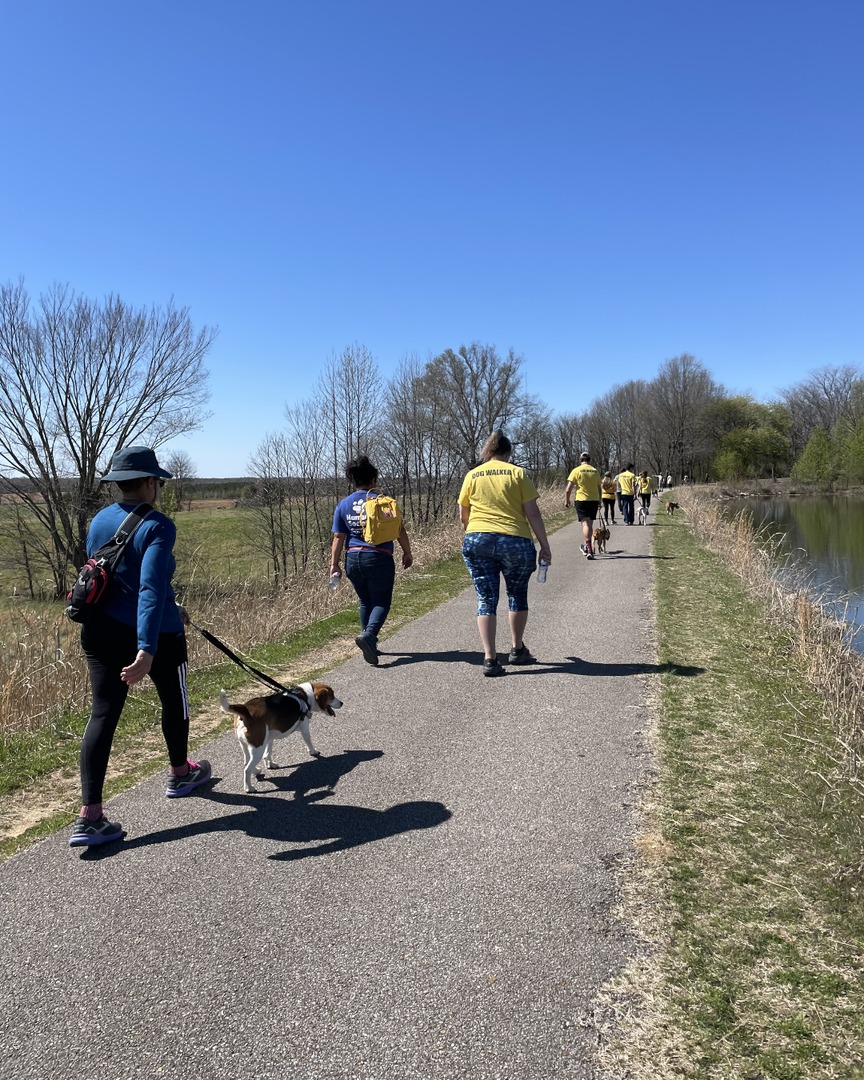 MemphisHumane's tweet photo. What's better than going on a walk on a nice, sunny day? Doing it with a Humane Society friend! When you become a volunteer, you can enrich a pup's life through exercise and socialization – which also helps prepare them for adoption! https://t.co/G7db5BF1tT. https://t.co/TTAjfkp5Gl