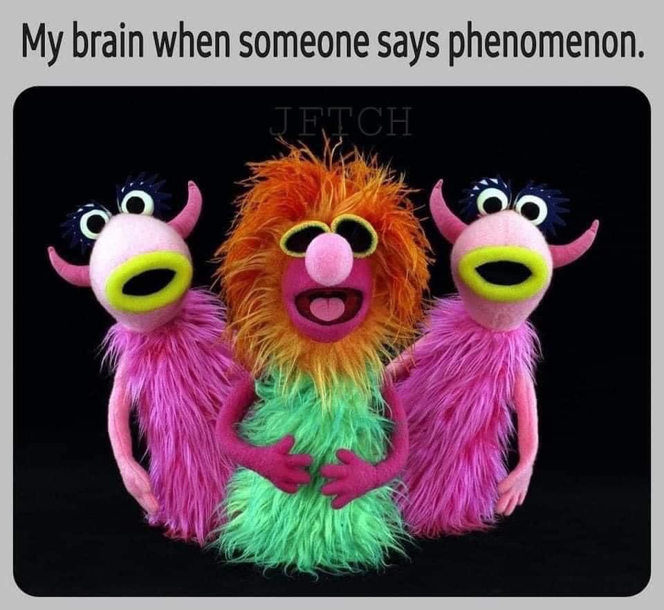 FlowerKillers's tweet photo. Every goddamn time. https://t.co/2slP7lN3RD