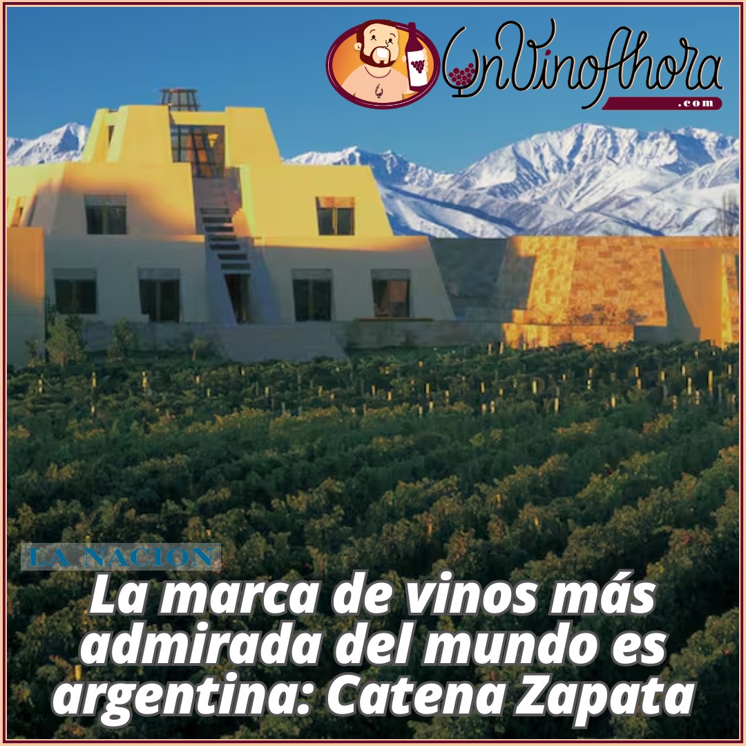 La marca de vinos más admirada del mundo es argentina: Catena Zapata

Acaba de ser distinguida por la prestigiosa publicación Drinks International, a partir del voto de periodistas, masters of wine y sommeliers

Nota de <a href="/sebastrios/">Sebastián A. Ríos</a>

lanacion.com.ar/sabado/la-marc…