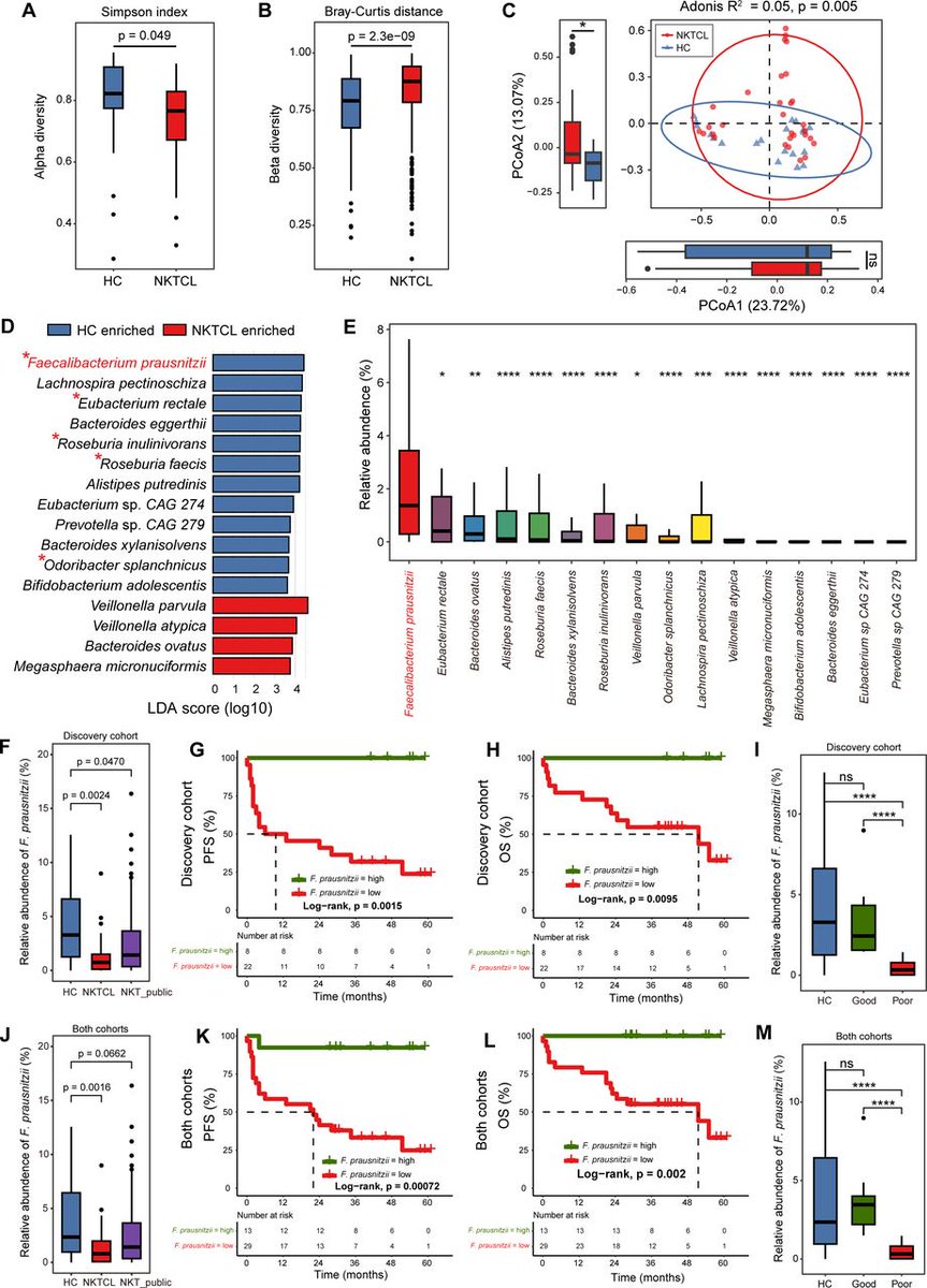 Gut_BMJ's tweet photo. #GUTImages from the paper by Shi et al on
"Butyrate-producing Faecalibacterium prausnitzii suppresses natural killer/T-cell lymphoma by dampening the JAK-STAT pathway" via
https://t.co/apGovk3iV3
#JAKSTAT #Microbiota https://t.co/74nv1Loyyr