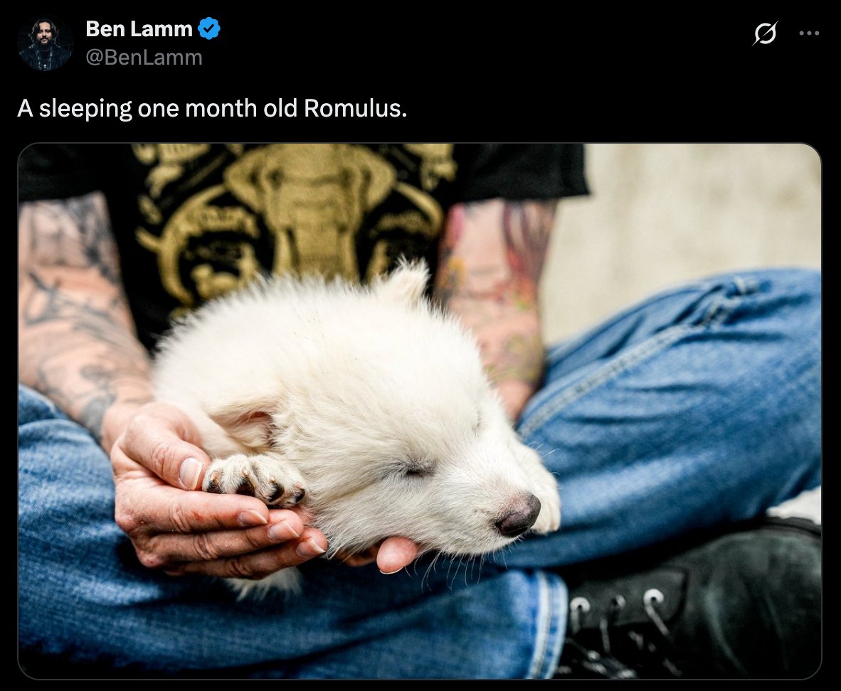 Romulus Eth tweet media