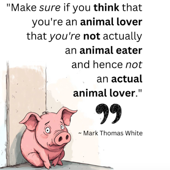 Meat-Free Plate tweet media