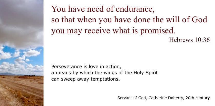 Word_every_day's tweet photo. Our need for endurance…. https://t.co/W9Vc5tnsmc