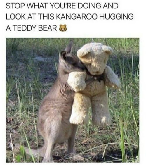 WholesomeMeme's tweet photo. https://t.co/cU6dnvtdFS