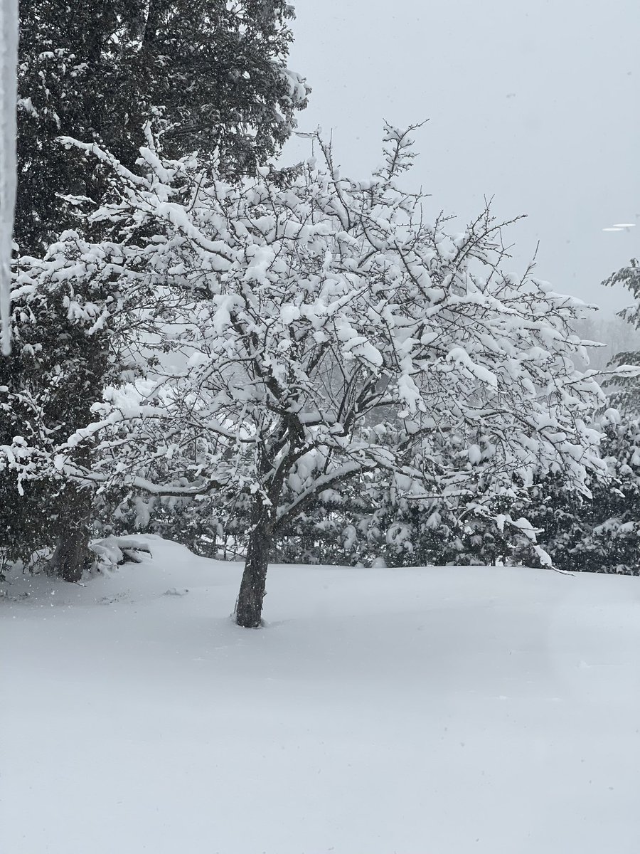 jackiegilna ๐ฎ๐ช๐จ๐ฆ๐ช๐บ (@jackiegilna) on Twitter photo This is mad! We were all getting out our patio furniture and Mother Nature came by with a massive snow fall, so calm and beautiful. Embrace your day wherever you are ๐๐ฎ๐ช๐
<a href="/WeArGlobalIrish/">We Are Global Irish Inc.</a> This is mad! We were all getting out our patio furniture and Mother Nature came by with a massive snow fall, so calm and beautiful. Embrace your day wherever you are ๐๐ฎ๐ช๐
<a href="/WeArGlobalIrish/">We Are Global Irish Inc.</a>