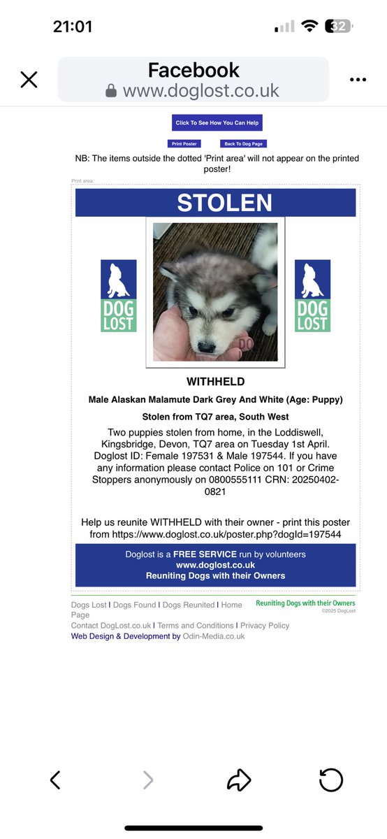 SAMPAuk_'s tweet photo. Two seven-week old #AlaskanMalamute #puppies were #stolen from home, in the #Loddiswell, #Kingsbridge, #Devon, #TQ7 Tuesday 1.04.25
Contact Police on 101 or Crime Stoppers on 0800555111
CRN: 20250402-0821
https://t.co/GDS7zPgeyW
https://t.co/TBefqye9Bf
#PetAbduction https://t.co/6nfxUeiFfv
