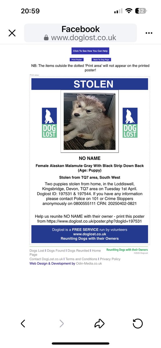 SAMPAuk_'s tweet photo. Two seven-week old #AlaskanMalamute #puppies were #stolen from home, in the #Loddiswell, #Kingsbridge, #Devon, #TQ7 Tuesday 1.04.25
Contact Police on 101 or Crime Stoppers on 0800555111
CRN: 20250402-0821
https://t.co/GDS7zPgeyW
https://t.co/TBefqye9Bf
#PetAbduction https://t.co/6nfxUeiFfv