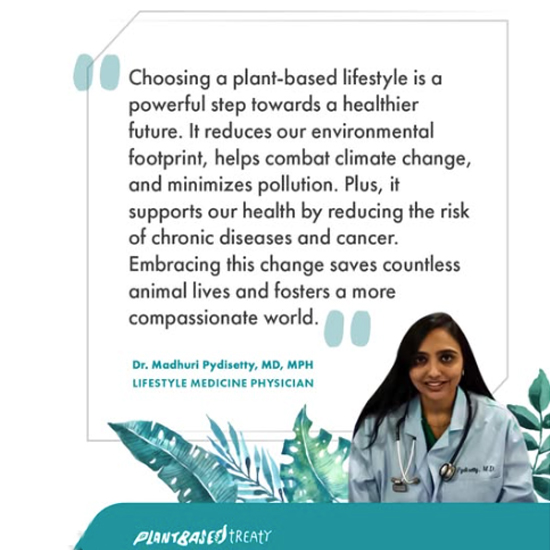 Meat-Free Plate tweet media