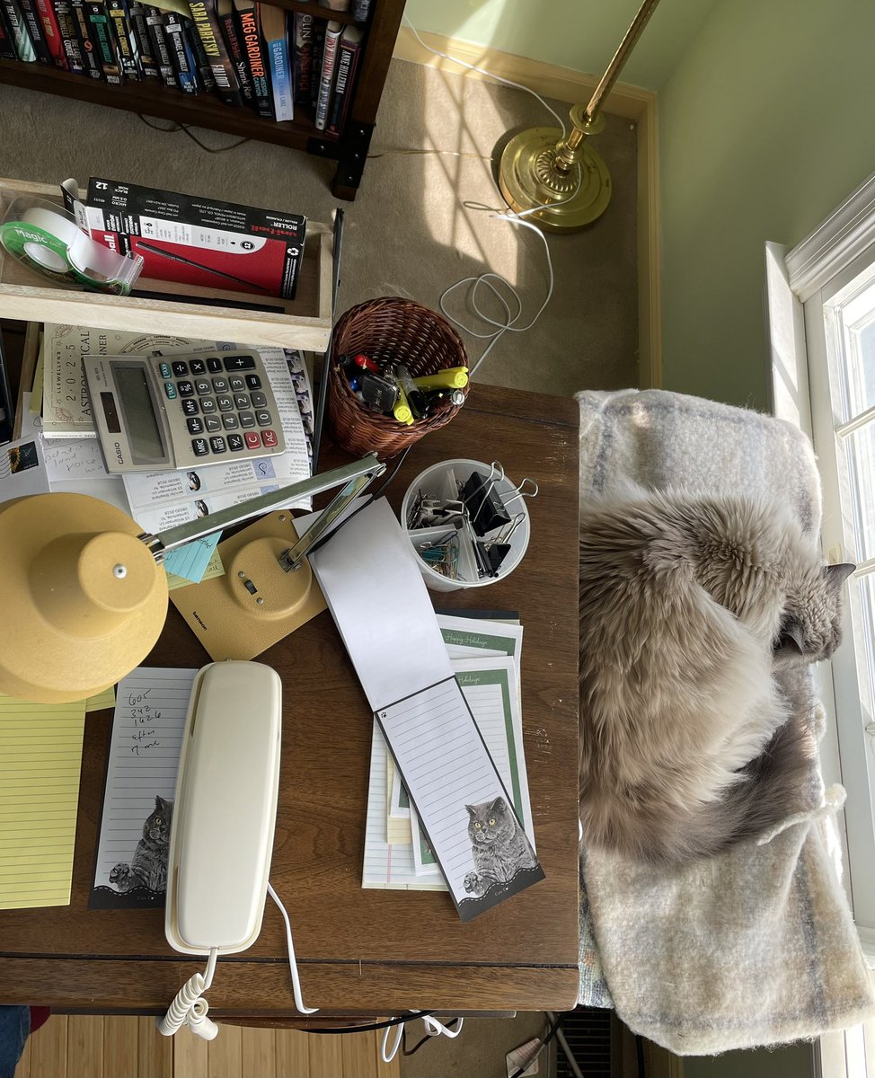 Lipstick_Mystic's tweet photo. Office feng shui tip: always leave space for the cat, or he will be forever dipping whiskers in your tea.#Birmans #CatsOfTwitter #CatsOfX #floofalert https://t.co/v0KeoPRx5A