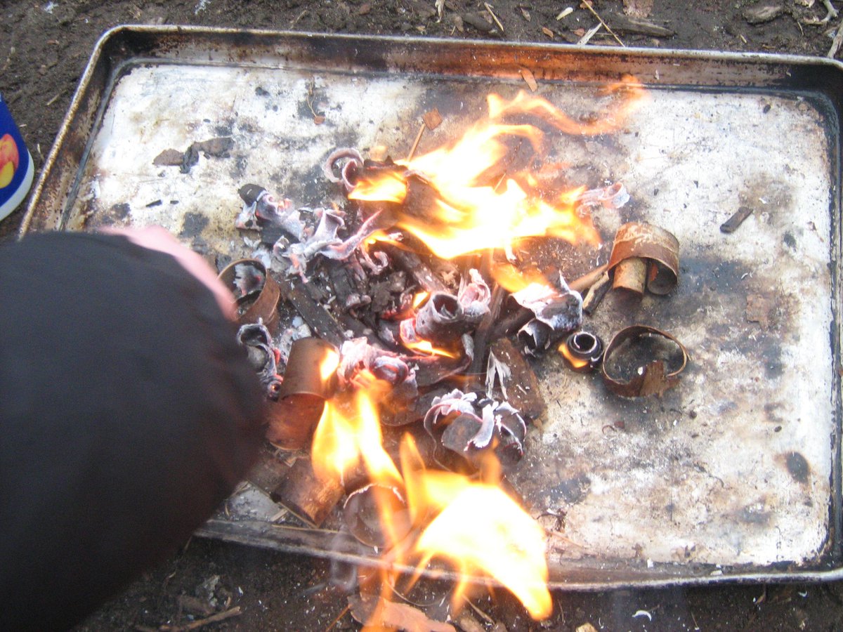 MsTavares tweet media