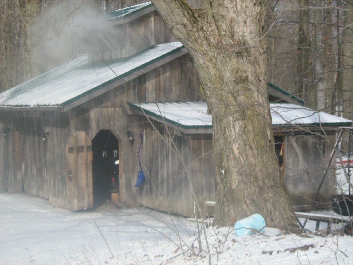 MsTavares tweet media