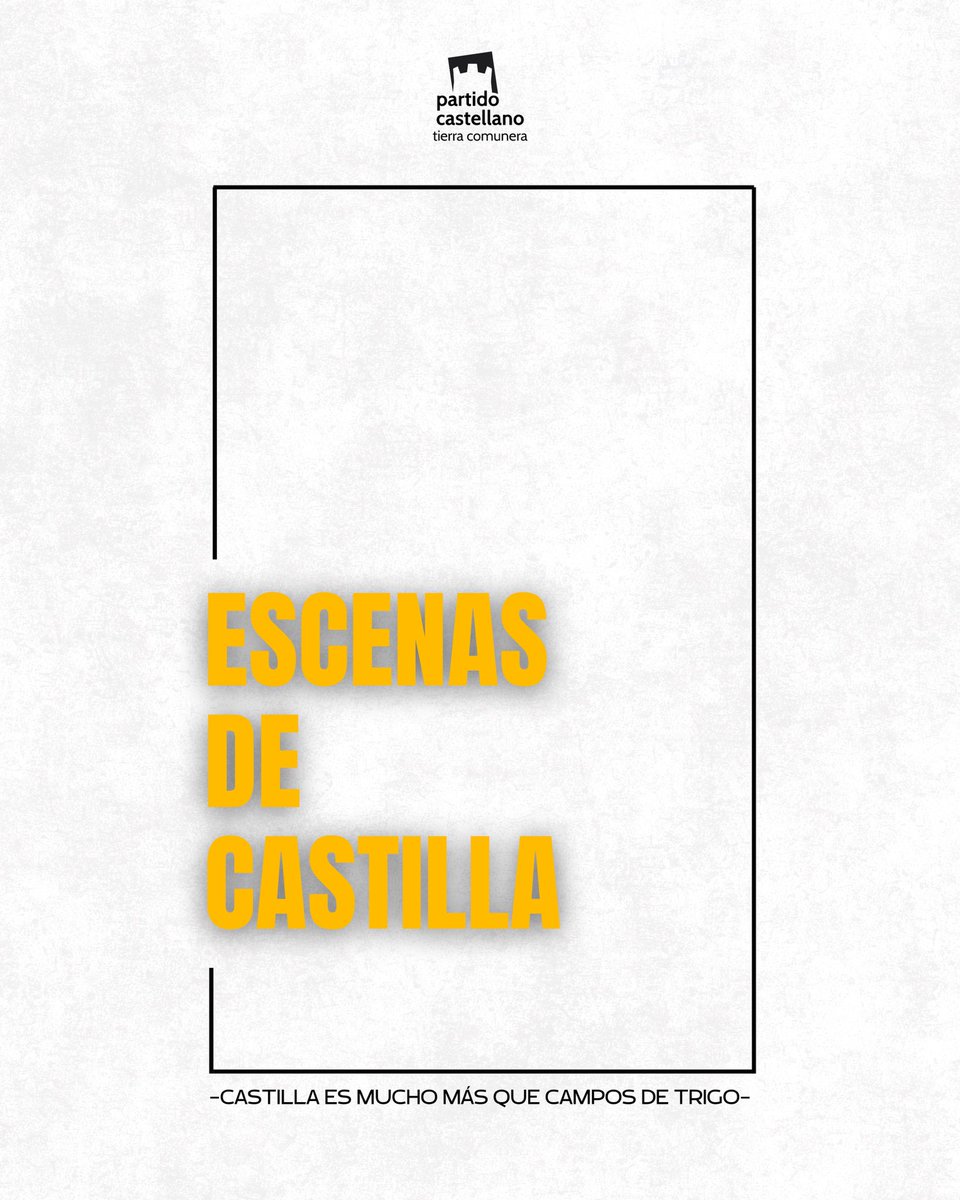 PartCastellano's tweet photo. Hablando de que Castilla es mucho más que campos de trigo… hemos hecho LAS CAMISETAS https://t.co/3r6A09xXBw