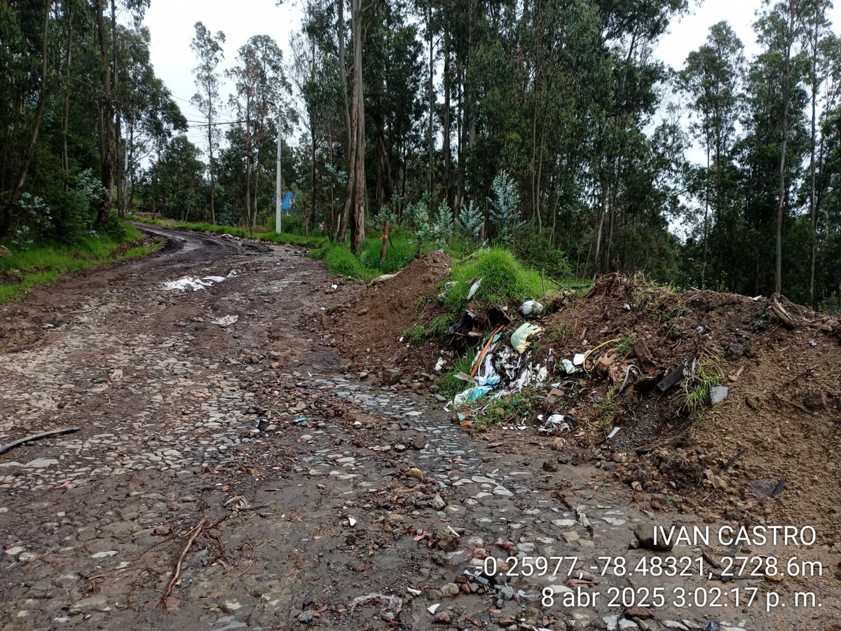 tatyariasb's tweet photo. @amcquito @gadconocoto @pabelml @ObrasQuito @amcquito @ObrasQuito @gadconocoto @MunicipioQuito @pabelml @EmAseoQuito @SeguridadeQuito Ya llevamos un año a la espera de la limpieza ofrecida, es URGENTE, ya que se corre el riesgo de que haya un deslave, hay un conjunto habitacional detrás de ese muro. Incluso bloquea la vía https://t.co/cZRO3JLdnF