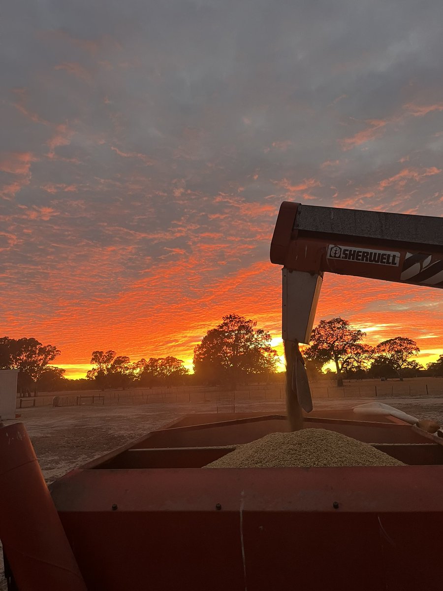 Tom Rymill tweet media