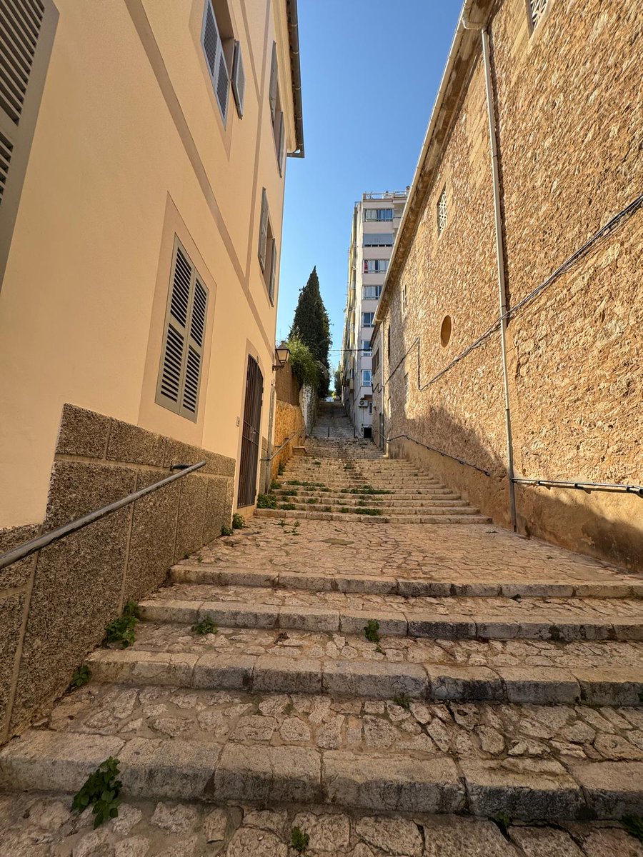 ocbpalma's tweet image. Avui hem fet una bona volta pel #Terreno, amb el guiatge del professor #BielAlomar. #PerPalmaCadaMes, #abril2025