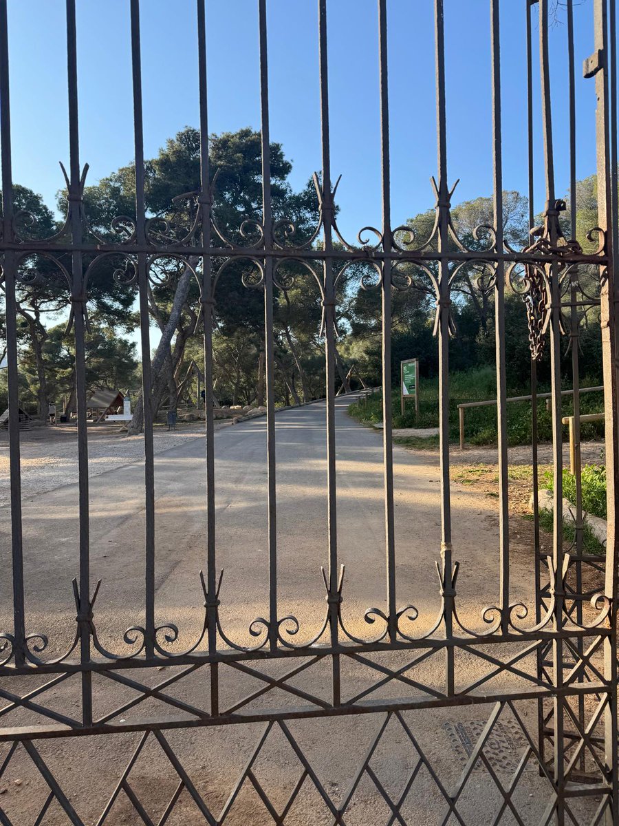 ocbpalma's tweet image. Avui hem fet una bona volta pel #Terreno, amb el guiatge del professor #BielAlomar. #PerPalmaCadaMes, #abril2025