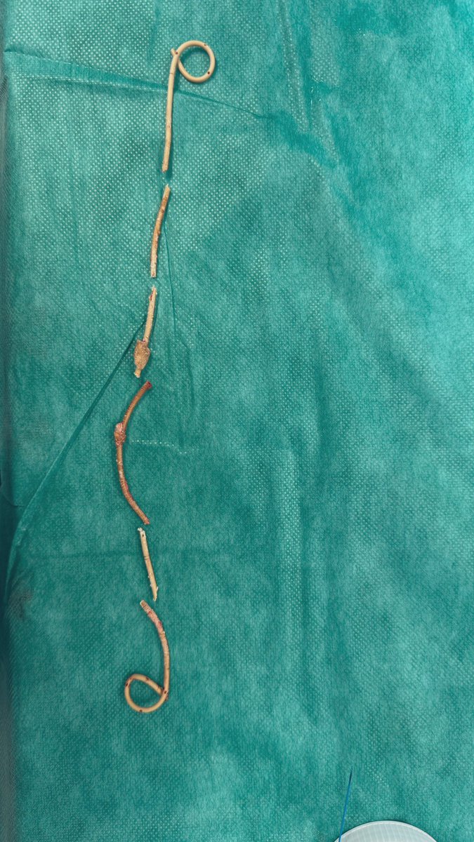 Saeed Bin Hamri tweet media