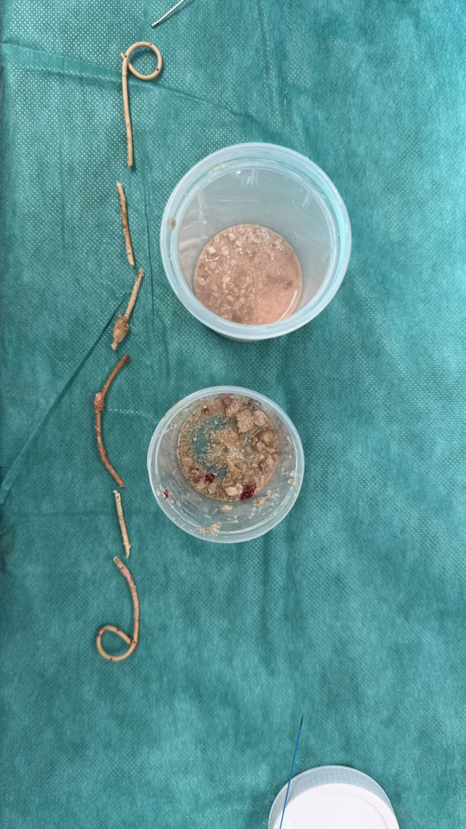 Saeed Bin Hamri tweet media