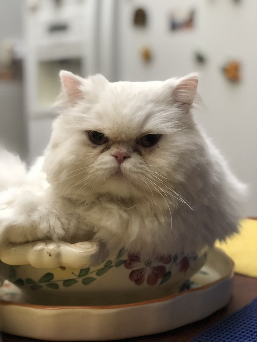 Marcelo es lo más hermoso del universo