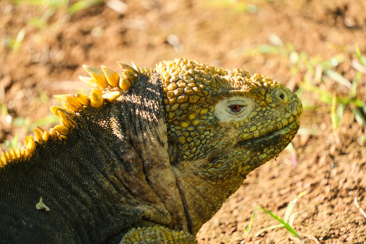 Steph Smith tweet media