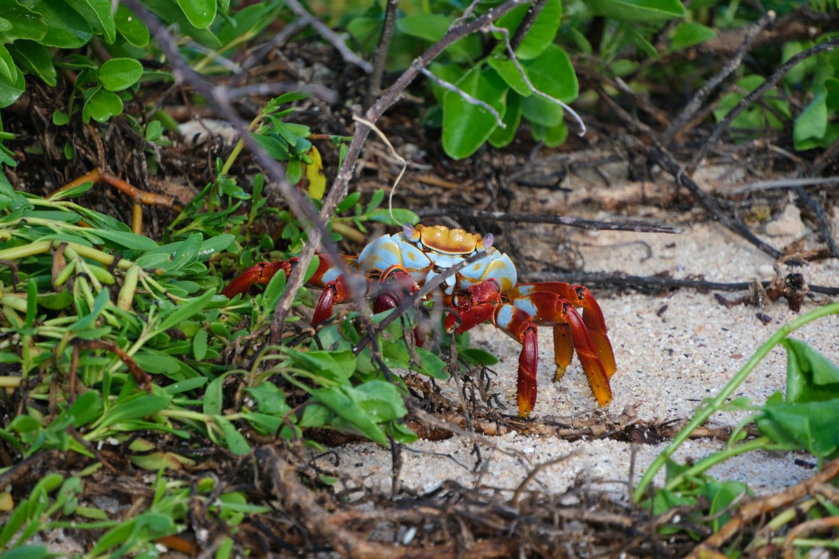 Steph Smith tweet media