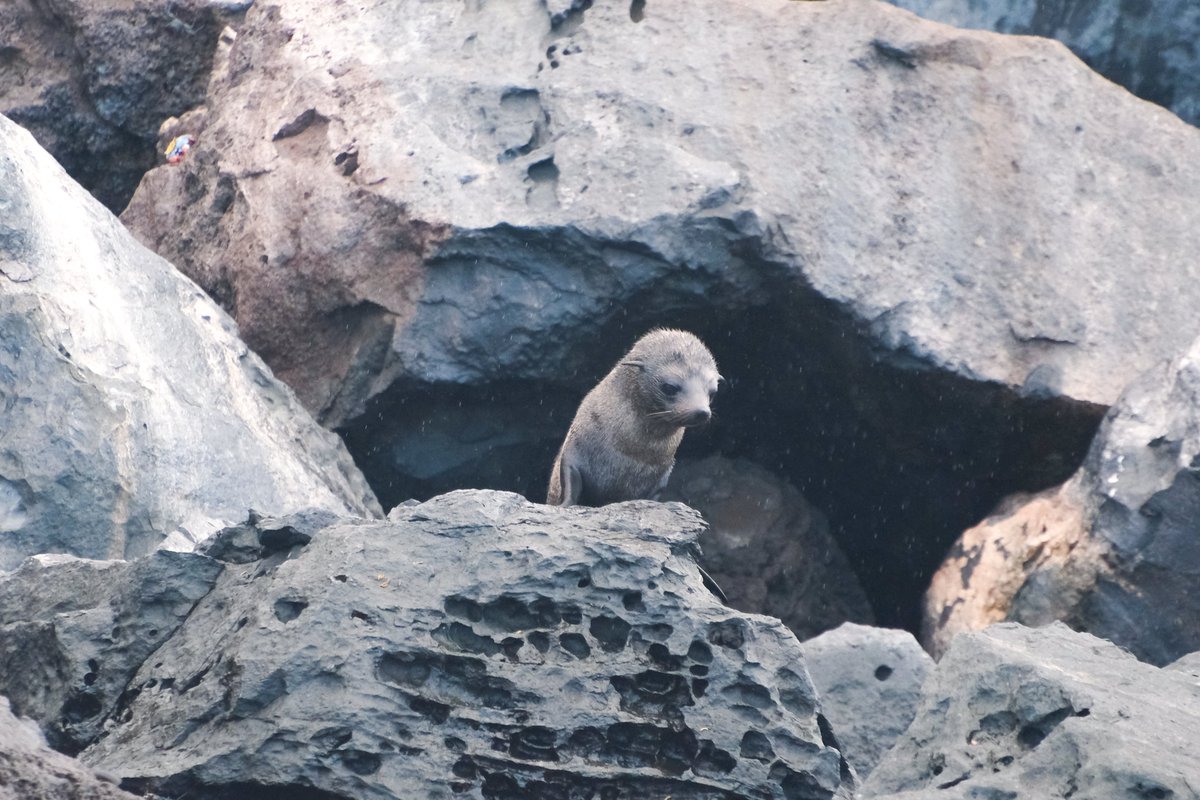 Steph Smith tweet media